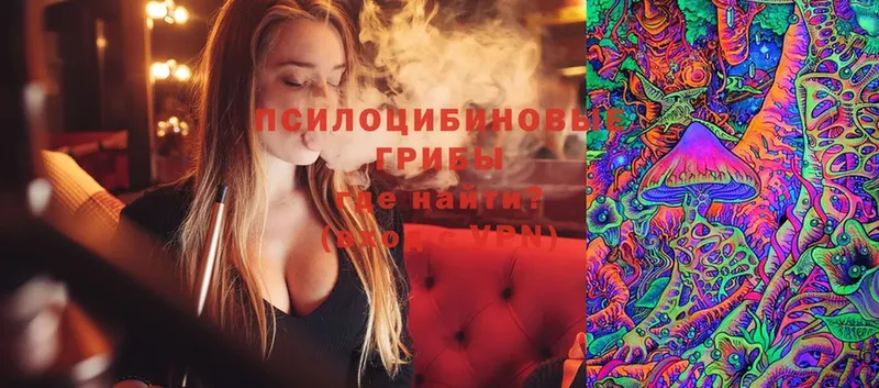 Галлюциногенные грибы MAGIC MUSHROOMS  Рославль 